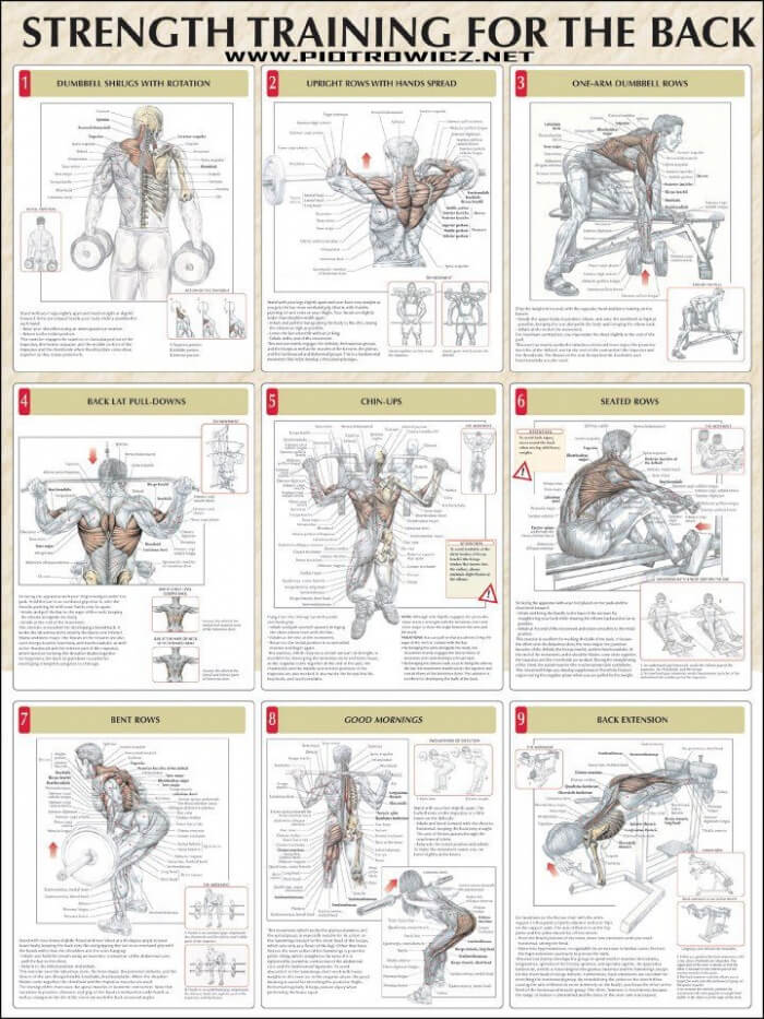 Core Strength Program For Afl